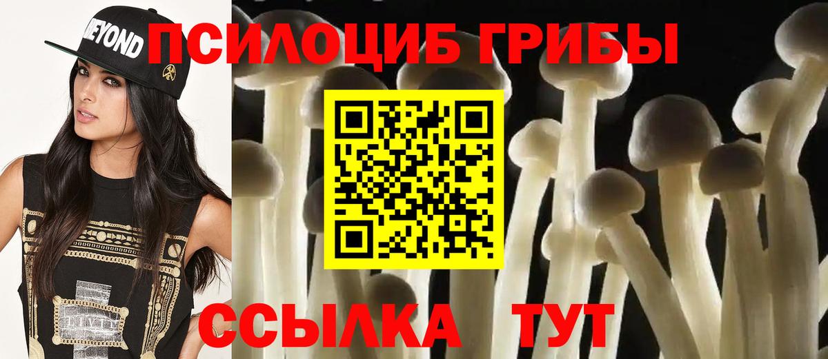 Галлюциногенные грибы GOLDEN TEACHER Узловая